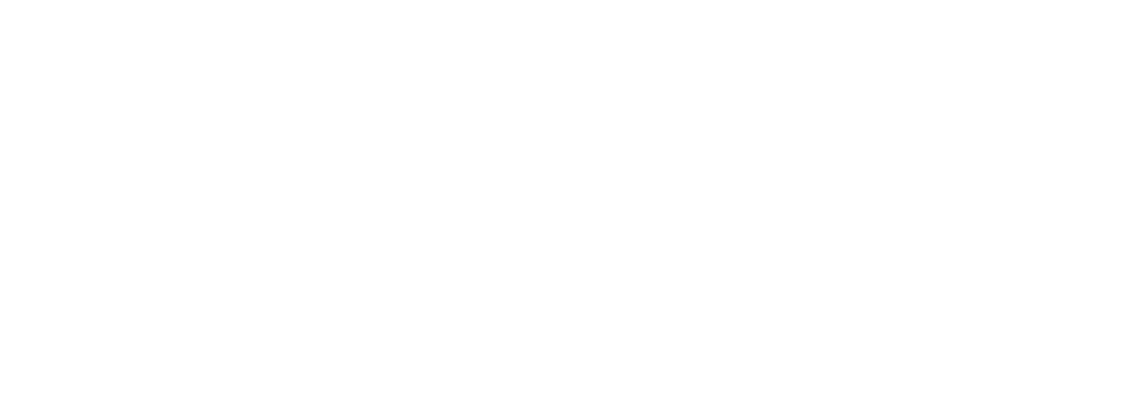 Kailo logo whitew
