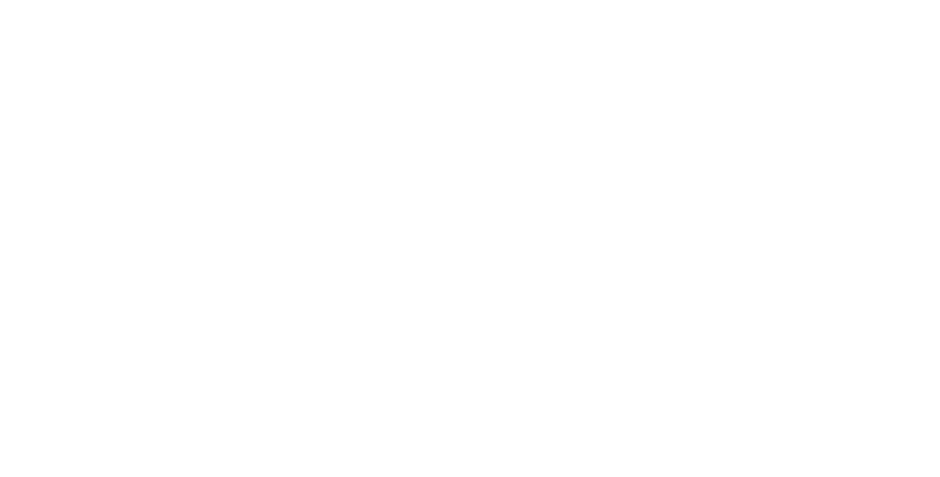 BiH logo horiz [white]